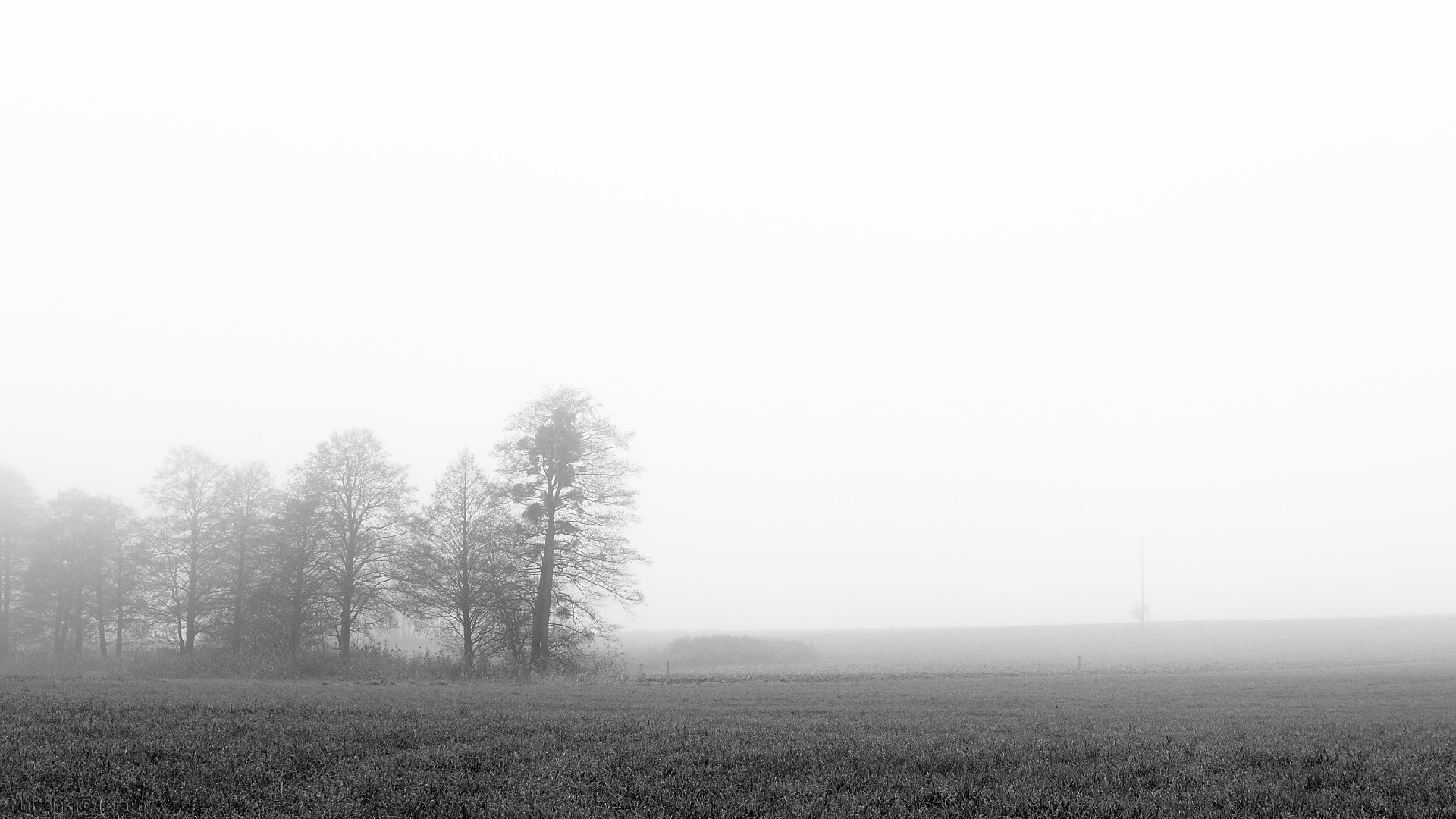 Fog landscape photography
