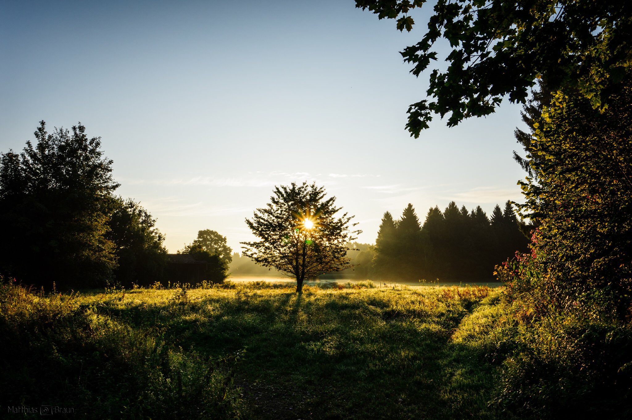 Sonnenaufgang | Sunrise